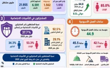 الإحصاءات تشير إلى أن 72.8% من العاملين بأجر سيكونون موظفين بدوام كامل في عام 2025