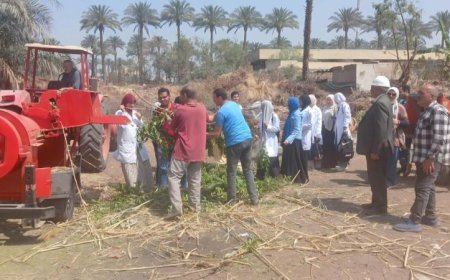 جامعة القاهرة تطلق وحدة جديدة لتحويل المخلفات الزراعية في كلية الزراعة