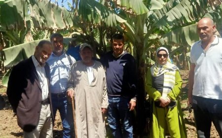 ملخص شامل لجهود وأنشطة معاهد ومعامل البحوث الزراعية في وزارة الزراعة