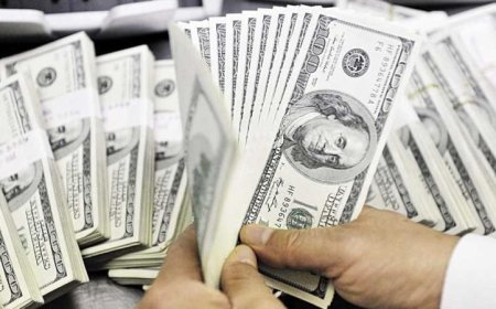 الأجهزة الأمنية تحقق إنجازًا كبيرًا بضبط 8 ملايين جنيه في قضايا تهريب النقد الأجنبي