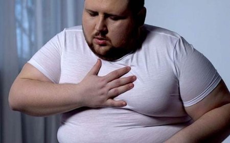 اكتشاف مذهل للسمنة يغير مفاهيم عقود من أبحاث التمثيل الغذائي للدهون