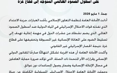 التعاون الإسلامي تندد بالاعتداء الإجرامي للاحتلال على أسطول الدعم العالمي المتجه نحو غزة