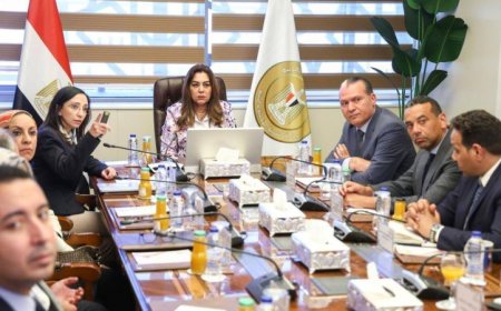 وزيرة التنمية المحلية تتعاون مع محافظ البحيرة لتعزيز تطوير مدينة رشيد