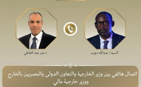 وزير الخارجية المصري يعبر عن دعم بلاده لمالي ويجدد إدانته للهجمات الإرهابية