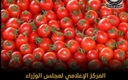 وزير الإعلام ينفي استخدام مادة الإثيريل لرش الطماطم من أجل تسريع نضجها