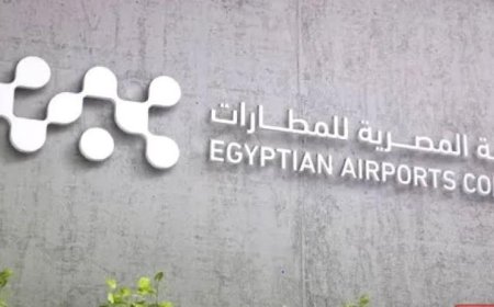 الشركة المصرية للمطارات تكشف حقيقة حظر استخدام الكراتين داخل المطارات