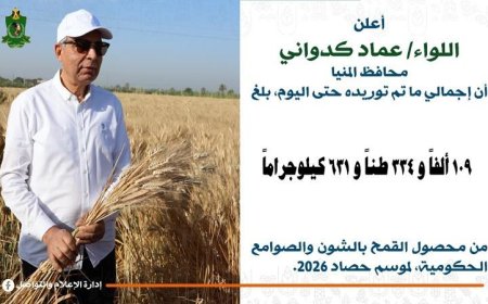 محافظ المنيا يعلن عن تجاوز حصاد توريد القمح 109 آلاف طن منذ بدء موسم 2026