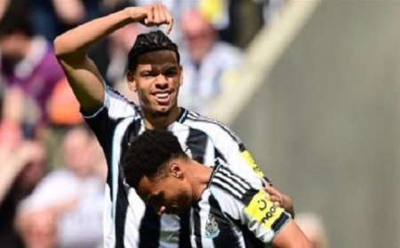 نيوكاسل يحقق انتصاراً مهماً على برايتون ويؤكد قوته في الدوري
