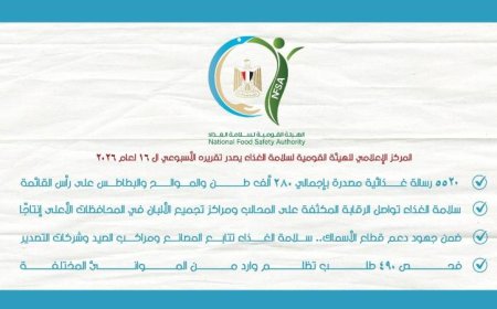 سلامة الغذاء تعلن عن قفزة تاريخية في الصادرات الغذائية تصل إلى 280 ألف طن في أسبوع واحد