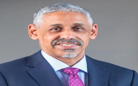رئيس بنك التنمية الإفريقي يشيد بجهود مصر في الإصلاحات الاقتصادية