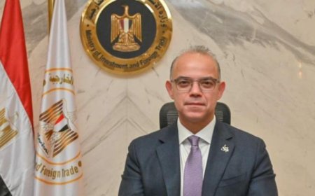 الصندوق السيادي يعلن اختيار شركة هيرميس لطرح 20% من رأس مال شركة مصر لتأمينات الحياة