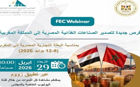 فرص ذهبية للمنتجات الغذائية المصرية في السوق المغربي وفقًا للتصديري للصناعات الغذائية