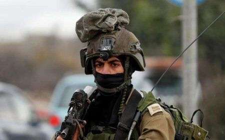 الجيش الإسرائيلي يؤكد أهمية استعادة الحملة العسكرية ضد غزة