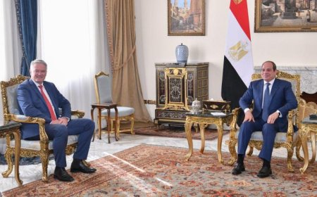 الرئيس السيسي يؤكد أهمية تعزيز التعاون مع منظمة التنمية الاقتصادية والرقمية