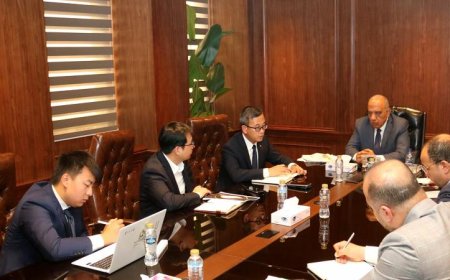 وزير الكهرباء يتباحث مع شركة صاني الصينية لتنفيذ مشاريع طاقة متجددة بقدرة 2000 واط