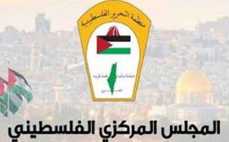 عضو المركزي الفلسطيني يكشف عن استهداف إسرائيل للصحفيين لمنع نقل الحقيقة