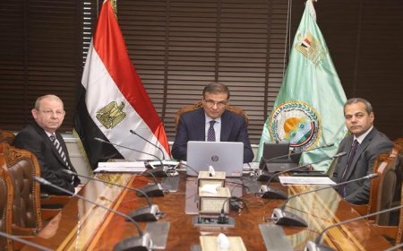 وزير الزراعة يعقد جلسات حيوية مع الهيئات المالية العربية لتعزيز التعاون الزراعي