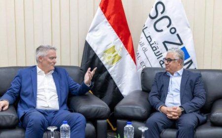 وليد جمال الدين يستعرض فرص التعاون مع الأمين العام لمنظمة التعاون الاقتصادي والتنمية