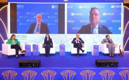 وزيرة التضامن تكشف تطورات نظام الحماية الاجتماعية في مصر خلال العقد الأخير