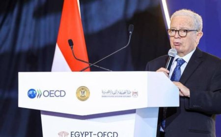نائب رئيس الوزراء يؤكد أن منظمة التعاون الاقتصادي والتنمية تظل شريكا استراتيجيا vital للاقتصادات المستقبلية