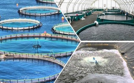 جهاز البحيرات ينظم ورشة عمل مبتكرة حول الطاقة المتجددة لدعم الاستزراع السمكي