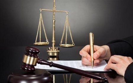 حكم المؤبد والمشدد على 67 متهمًا في أكبر قضية لتزوير بطاقات الإعاقة وتحقيق أرباح غير مشروعة