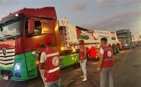 قافلة زاد العزة 189 تصل إلى قطاع غزة لتلبية احتياجات الفلسطينيين