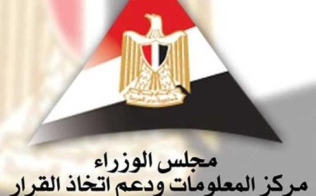 معلومات الوزراء تكشف عن تطورات اقتصاد البيانات في إفريقيا ودور مصر الرائد في التحول الرقمي
