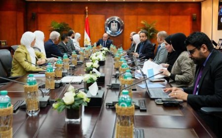 وزير الاستثمار يناقش مع يونيدو سبل تعزيز التنافسية وتأهيل الصادرات للأسواق الأوروبية