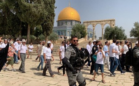 مستوطنون يعتدون على المسجد الأقصى المبارك تحت حماية قوات الاحتلال الإسرائيلي