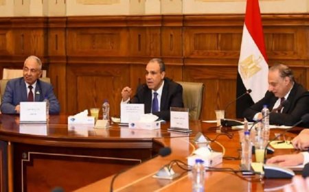 وزير الخارجية يكشف عن إطار السياسة الخارجية ومبادرات حماية مصالح الوطن