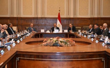 رئيس لجنة العلاقات الخارجية بالبرلمان يؤكد دعمًا برلمانيًا شاملاً لجهود السياسة الخارجية