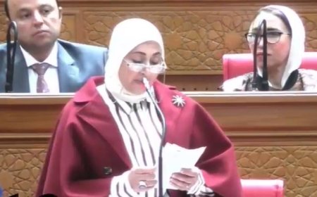 رئيسة لجنة الإعلام بمجلس النواب تدعو لصرف مكافآت نهاية الخدمة للعاملين في ماسبيرو