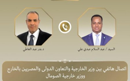 وزير الخارجية يناقش مع نظيره الصومالي آخر المستجدات في الأوضاع بالصومال