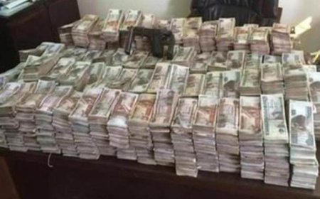 القبض على عنصرين جنائيين لغسل 15 مليون جنيه من عائدات الهجرة غير الشرعية