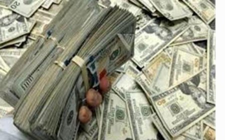 الأجهزة الأمنية تحقق نجاحًا كبيرًا بضبط 6 ملايين جنيه من قضايا الاتجار بالنقد الأجنبي خلال 24 ساعة