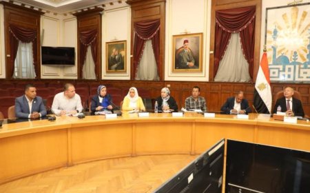 محافظ القاهرة يستعرض خطط إعادة تنظيم وتحسين كفاءة سوق التونسي الحضاري
