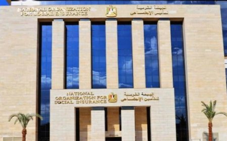 التأمينات الاجتماعية تؤكد كفاءة عمل المنظومة الرقمية الجديدة بشكل منتظم