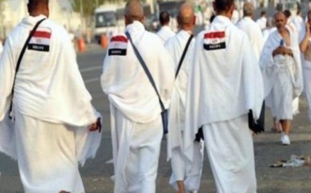 وزارة السياحة تطلق نظاماً إلكترونياً حديثاً لمتابعة حافلات نقل حجاج البر لأول مرة