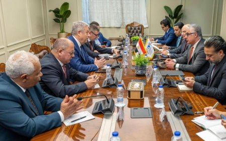 وليد جمال الدين يستقبل وفد غرفة التجارة والصناعة في بوخارست لتعزيز أفق التعاون الاقتصادي