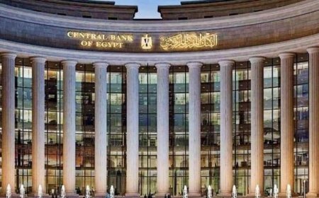 ارتفاع صافي الاحتياطي النقدي الأجنبي لدى البنك المركزي إلى 53 مليار دولار