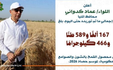 محافظ المنيا يعلن عن تجاوز توريد القمح 167 ألف طن مع بدء موسم 2026