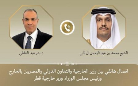 وزير الخارجية يشيد بالقرار الأمريكي لتعليق العملية العسكرية واستئناف حركة الملاحة في هرمز