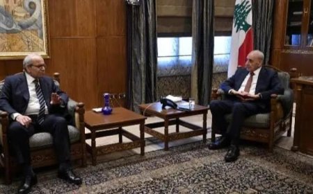 رئيسا النواب والحكومة اللبنانية يناقشان آثار خرق إسرائيل لاتفاق وقف إطلاق النار