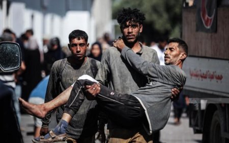 ارتفاع عدد الشهداء نتيجة عدوان الاحتلال الإسرائيلي على غزة إلى 72619 شهيدا