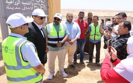 محافظ المنيا يواصل متابعة الاستعدادات الختامية لافتتاح سوق الماشية الجديد في ملوي