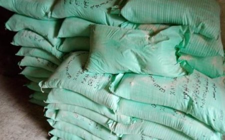 ضبط 9 أطنان من الدقيق الأبيض والبلدي المدعم في 24 ساعة خلال حملات التموين