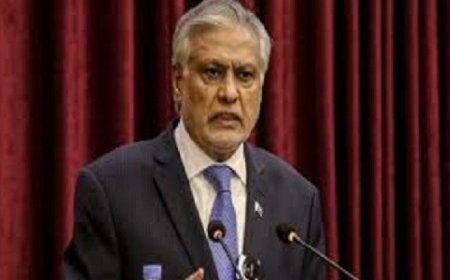 وزير الخارجية الباكستاني يؤكد جهود بلاده لترسيخ وقف نار دائم بين واشنطن وطهران