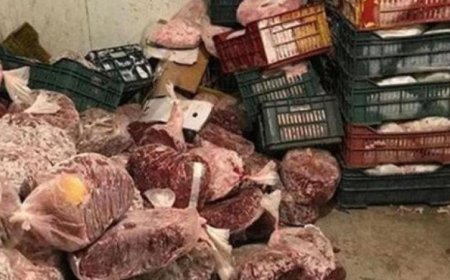 محافظ الإسكندرية يحذر من ضبط 11 طنا من لحوم مصنعة فاسدة في منشأة غير مرخصة
