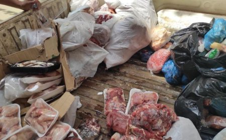 ضبط 2.6 طن من مصنعات اللحوم والدواجن مجهولة المصدر في حملة أمنية بالدقهلية